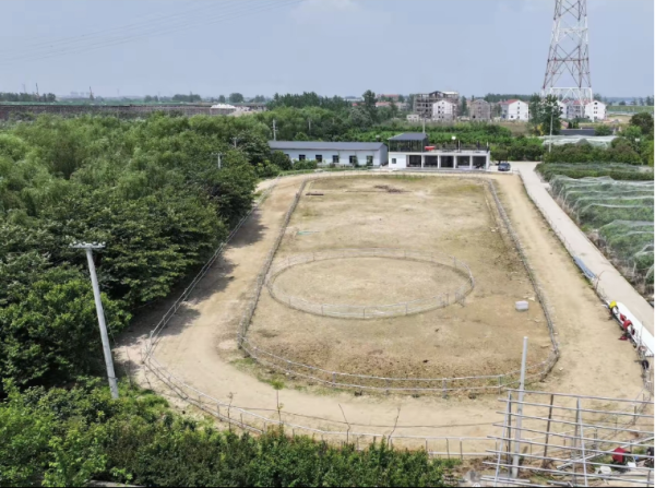 牛股远期策略 年营收近500万元，“新农人”将果园升级成马术俱乐部！