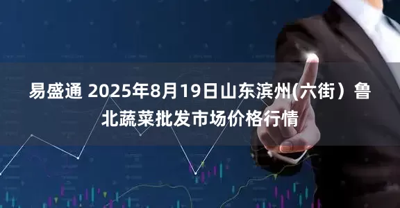 易盛通 2025年8月19日山东滨州(六街）鲁北蔬菜批发市场价格行情